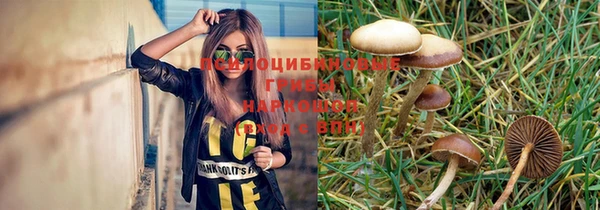 PSILOCYBIN Балабаново