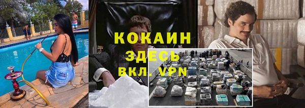 амф Аркадак