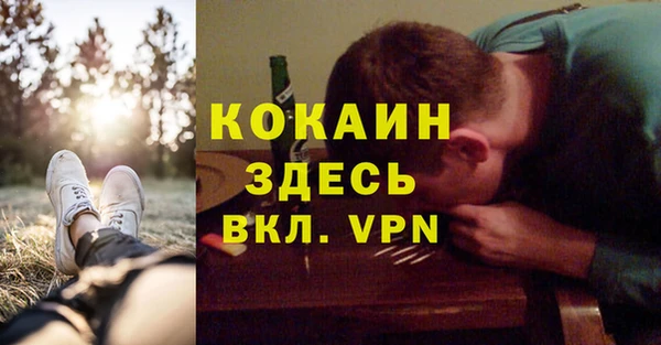 PSILOCYBIN Балабаново